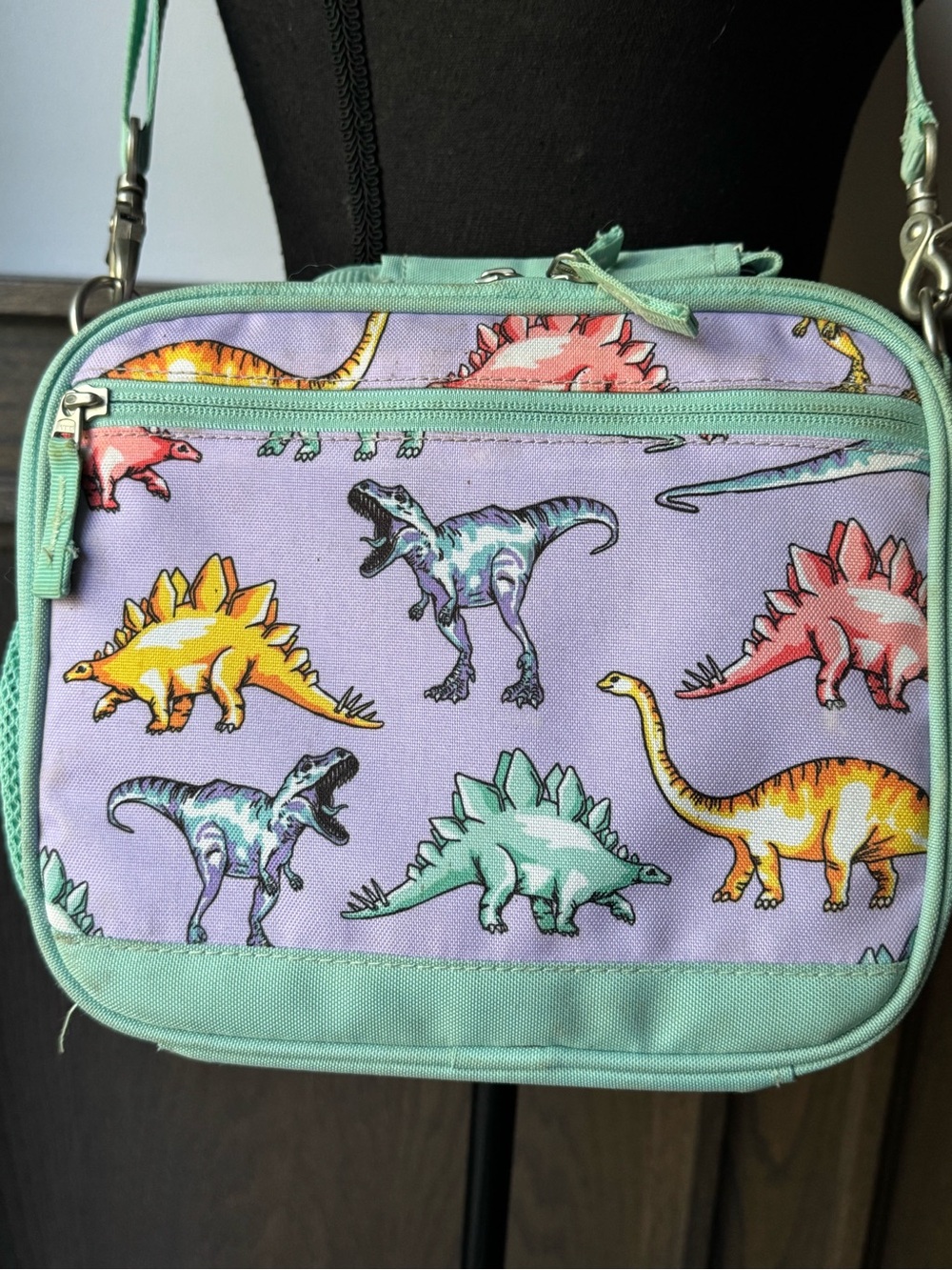Pottery Barn Kids Lavender Dinosaur Crossbody with Mint Trim